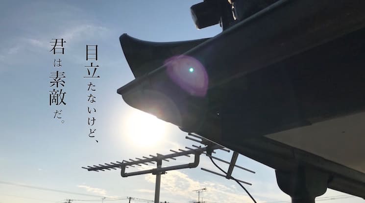 新規屋根材の取り付け状況