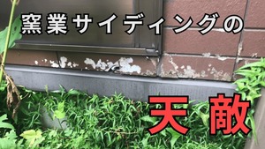 300x300 20210413163400